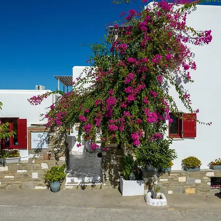 Archipelagos * Naousa (Paros)